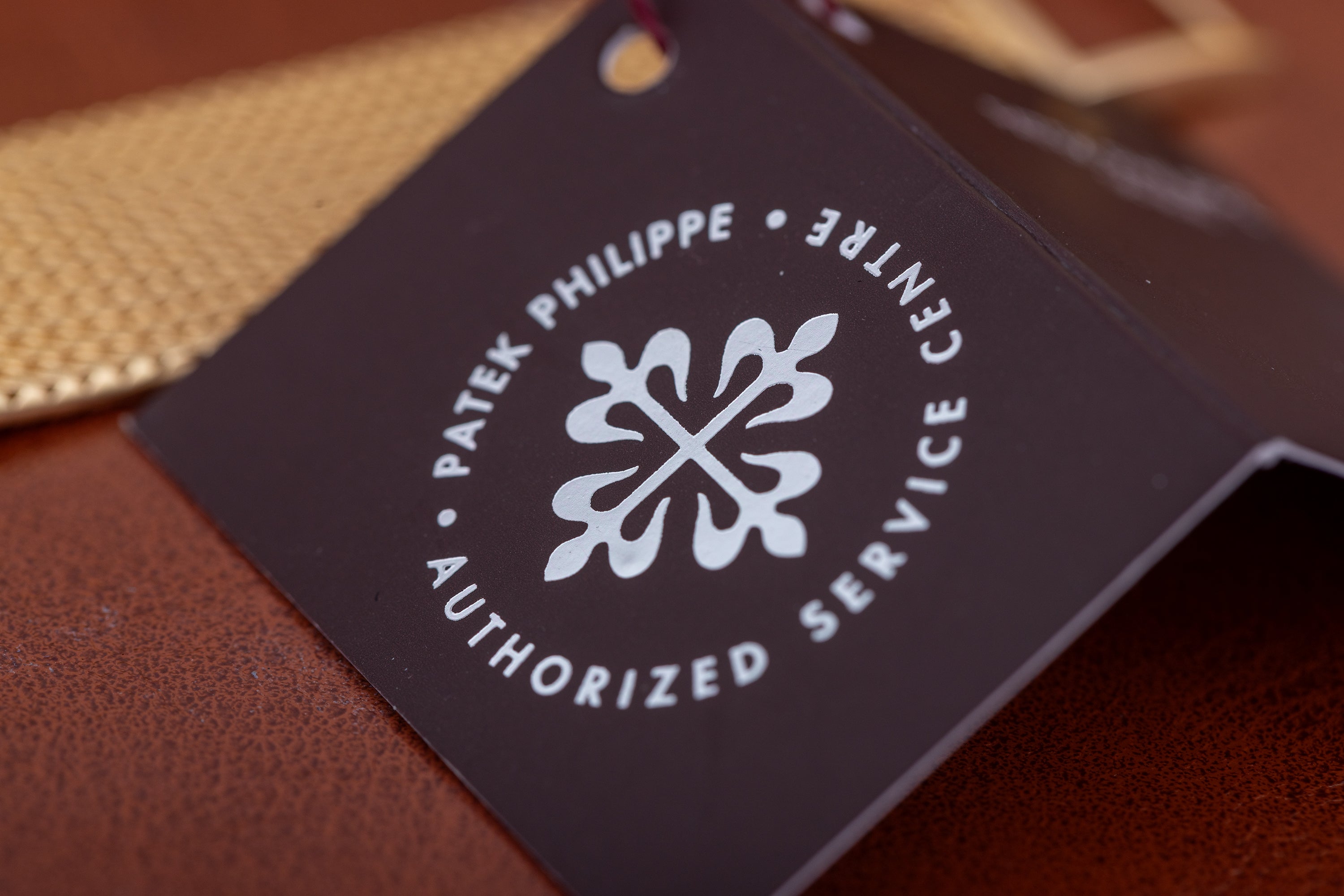 Patek Philippe Calatrava | REF. 3919/005 | Papers | 1989 | 18k Yellow Gold