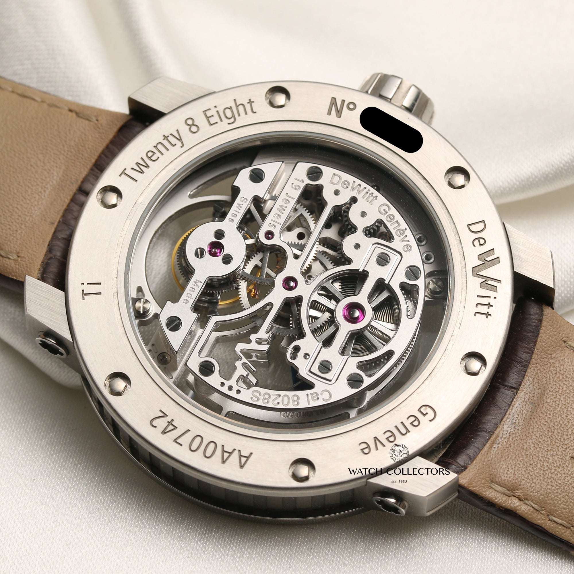 Dewitt Titatinium Skeleton Tourbillon Second Hand Watch Collectors 7