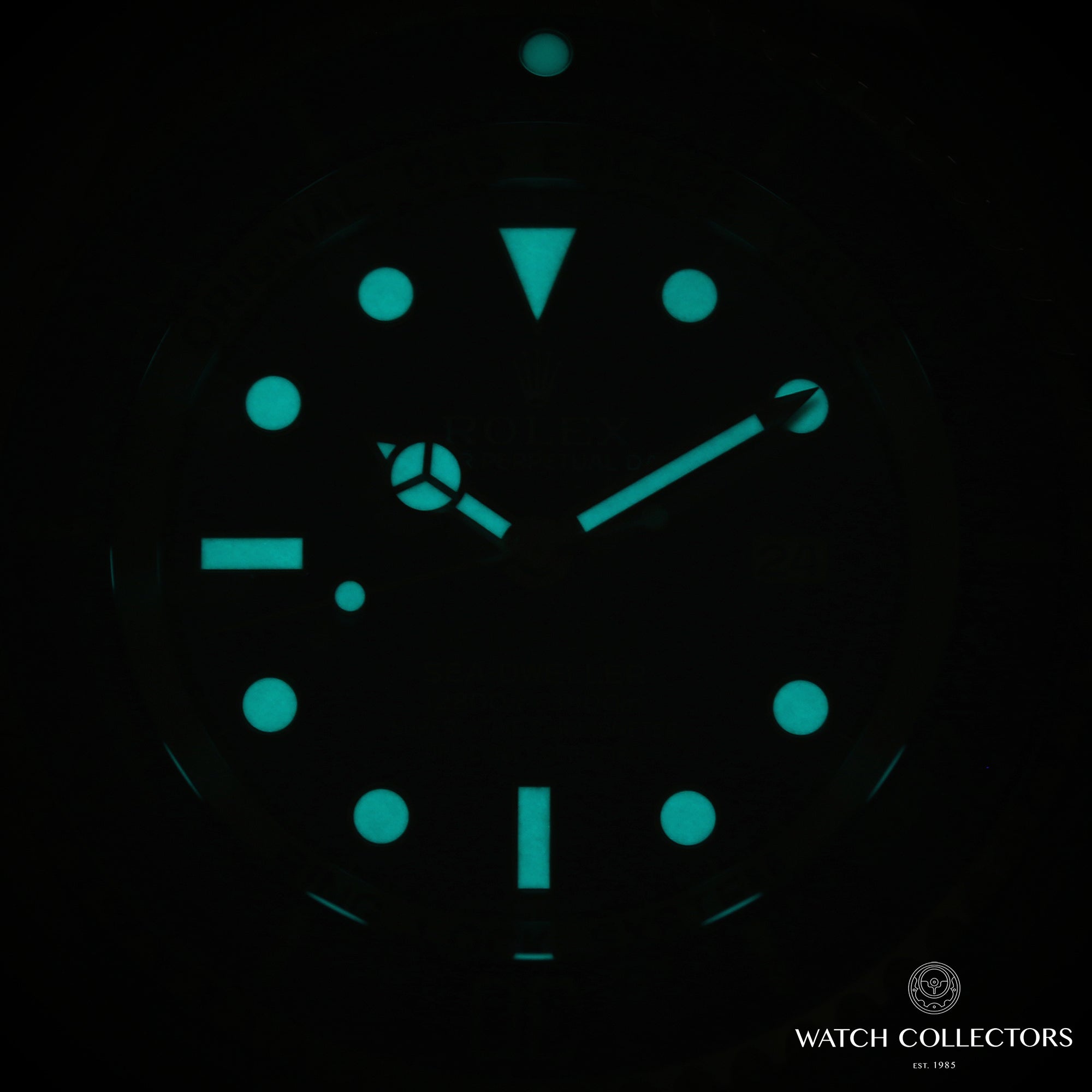 Full Set Rolex Deep Sea Sea-Dweller 116660 Deep Blue James Cameron Stainless Steel Second Hand Watch Collectors 3